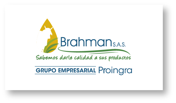 Logo Proingra