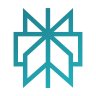 Perplexity AI